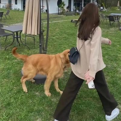 女恶魔人